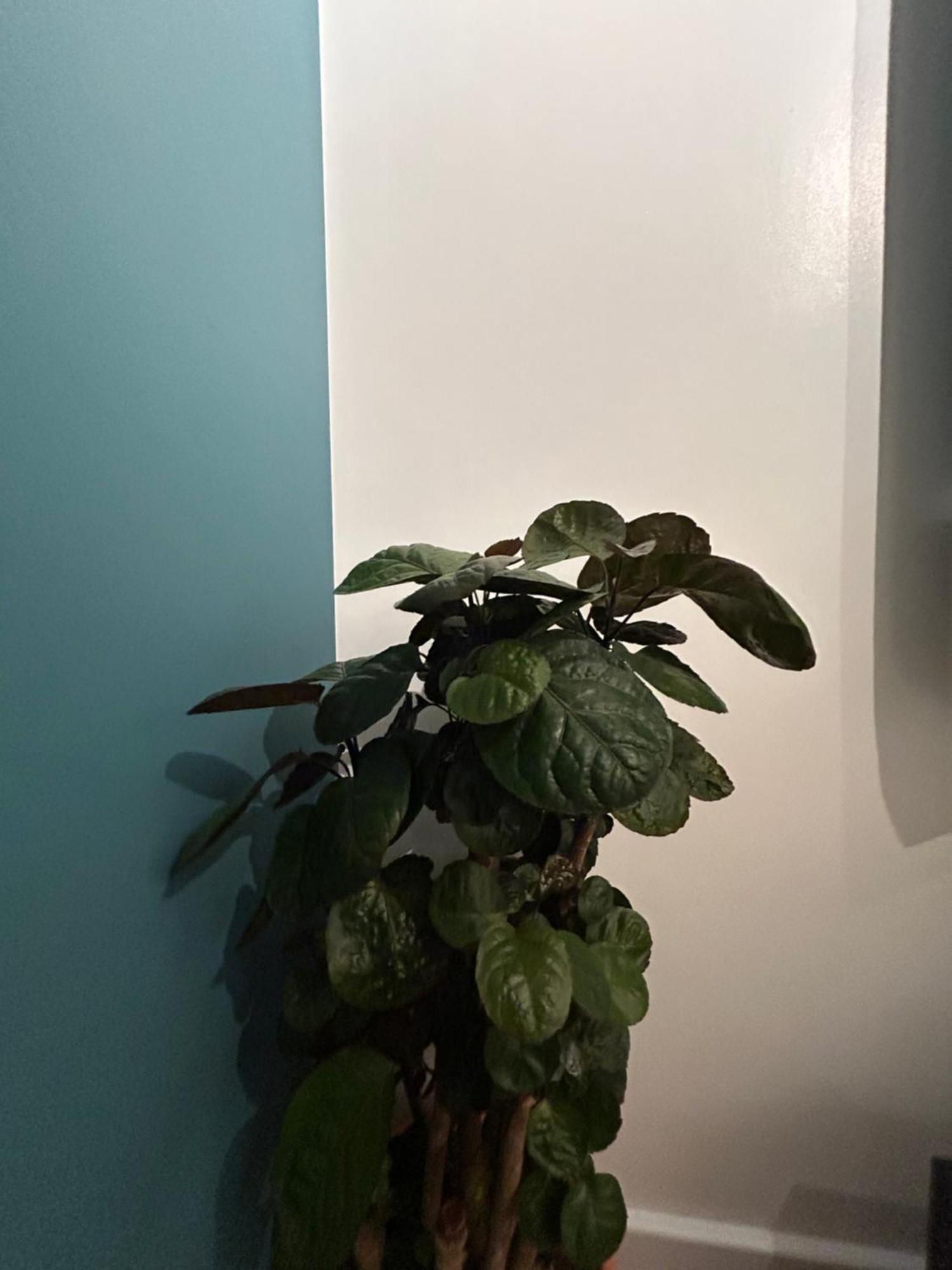 Woodhouse Apartment 利兹 外观 照片